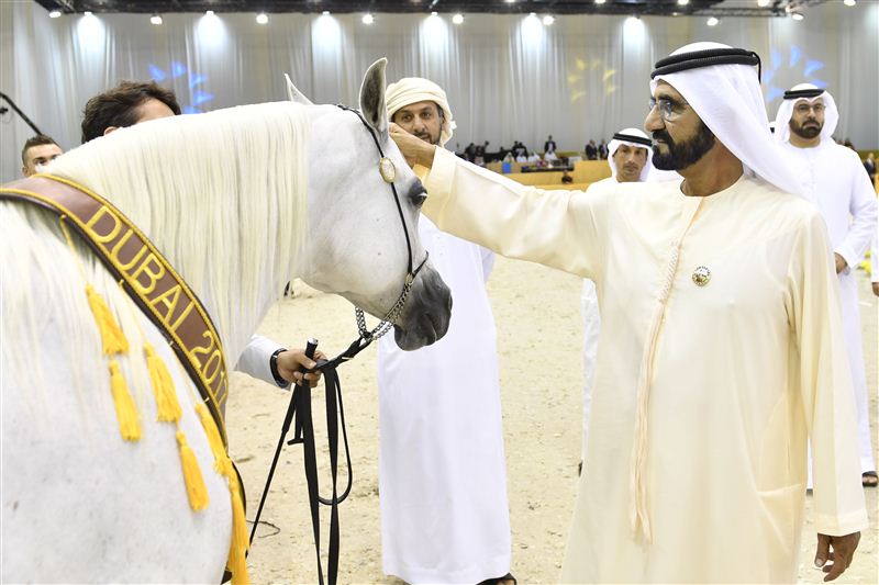 Mohammed bin Rashid attends final Dubai International Arabian Horse Championship 