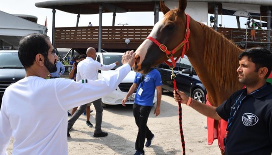 Mohammed bin Rashid checks readiness of horses for World Endurance Championships 2016 