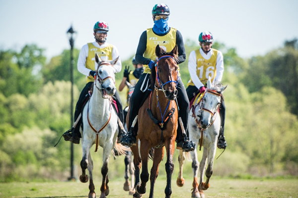 Hamdan bin Mohammed crowned champion in the preliminary endurance race of the FEI World Equestrian Games