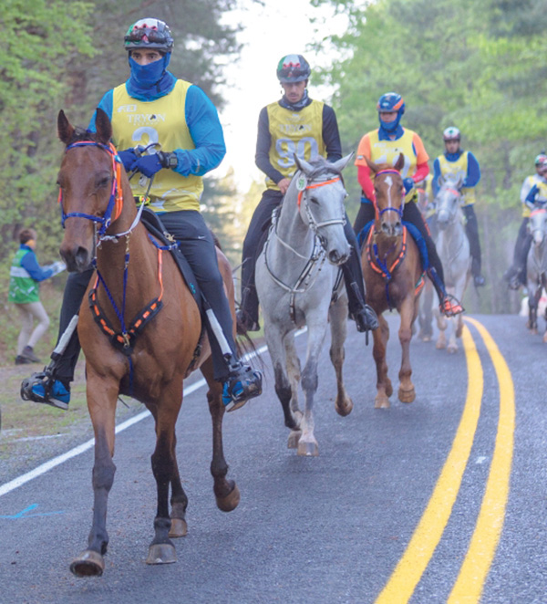 Hamdan bin Mohammed leads the UAE Riders in preparation for FEI World Equestrian Games