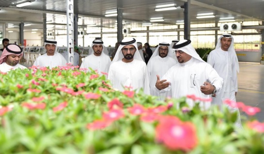Mohammed bin Rashid visits Dubai Municipality's plant nursery in Warsan