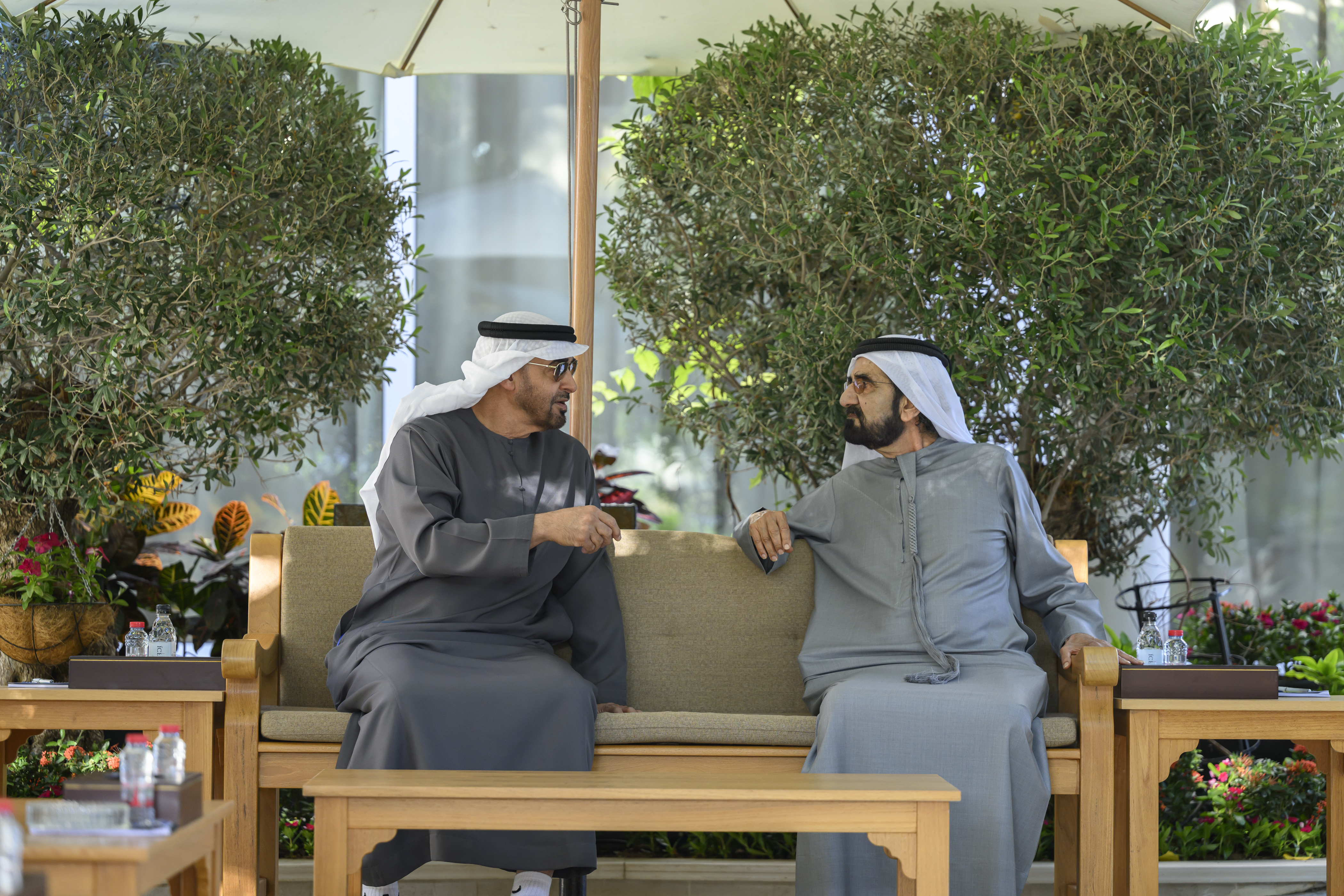 UAE President meets Mohammed bin Rashid at Al Marmoom in Dubai