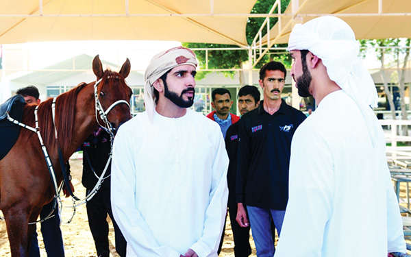 Hamdan bin Mohammed reviews UAE endurance team preparation 