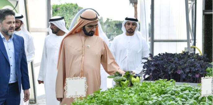 Mohammed bin Rashid visits Sustainable City in Dubai
